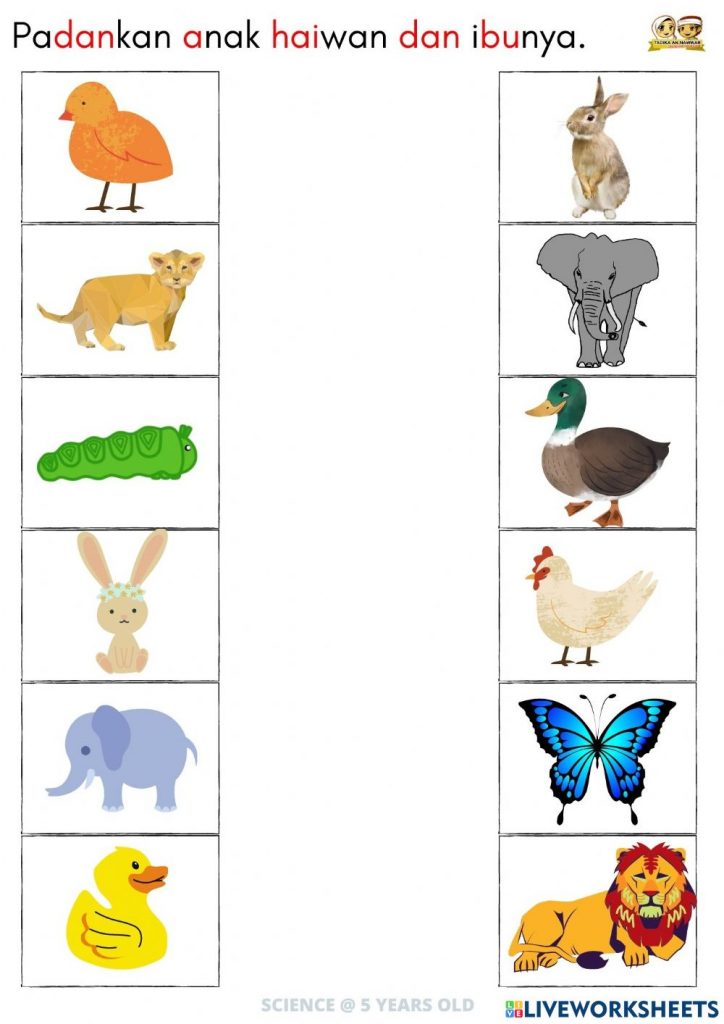 lembar kerja PAUD/TK tema binatang menjodohkan gambar binatang yang sama