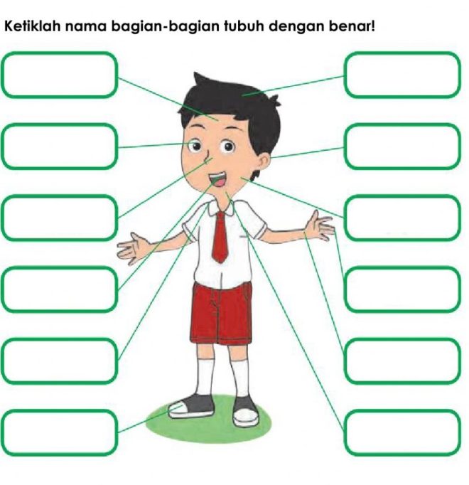 Kumpulan Lembar Kerja PAUD/TK Tema Diri Sendiri